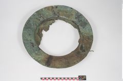 Foto von Bronzebreitrandschale (NHMW-PRAE-025899)
